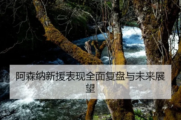 阿森纳新援表现全面复盘与未来展望